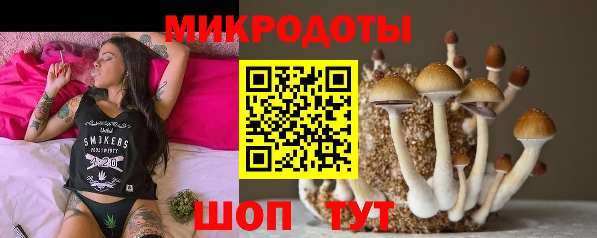 Галлюциногенные грибы мухоморы  где купить наркотик  Южноуральск  Вход с VPN 